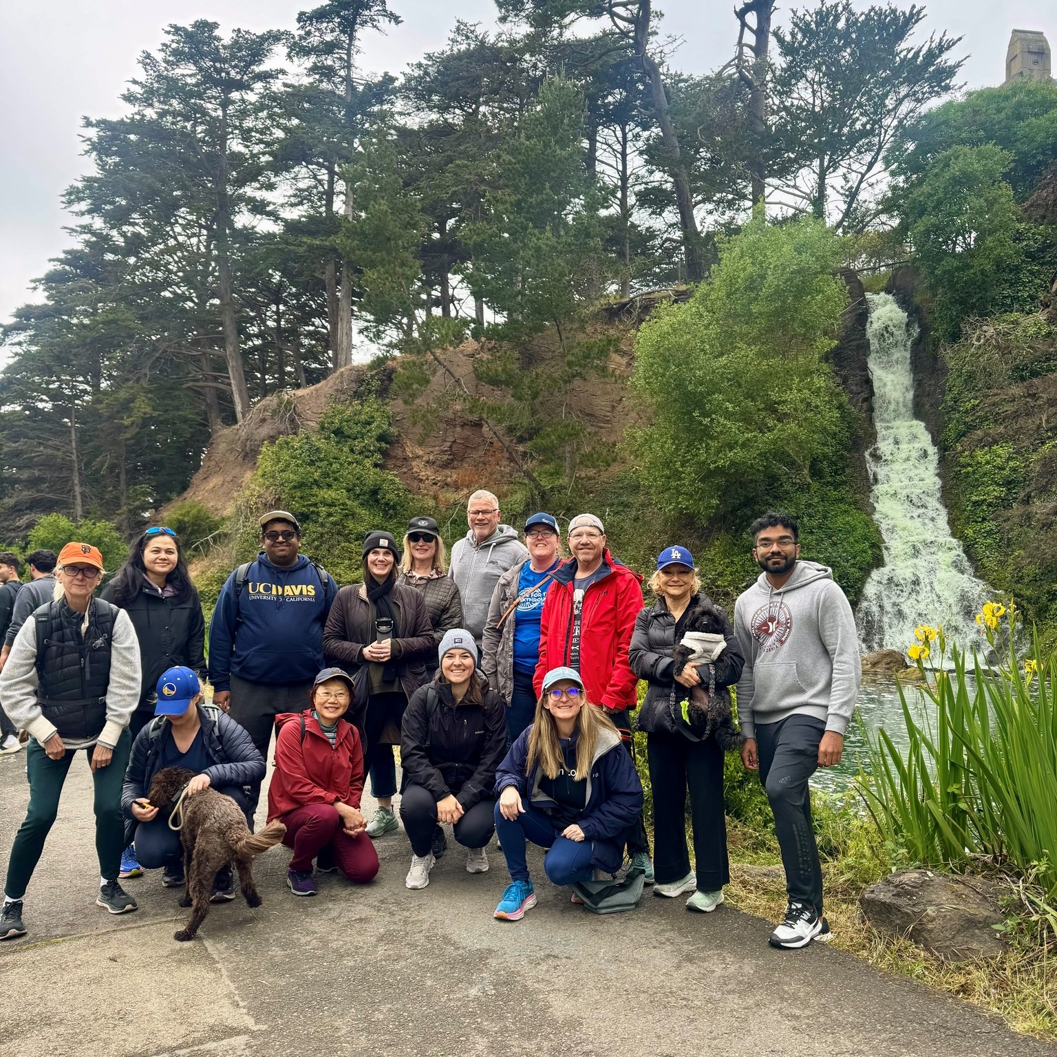 T1D Adults Walk & Talk | Golden Gate Park, San Francisco, CA