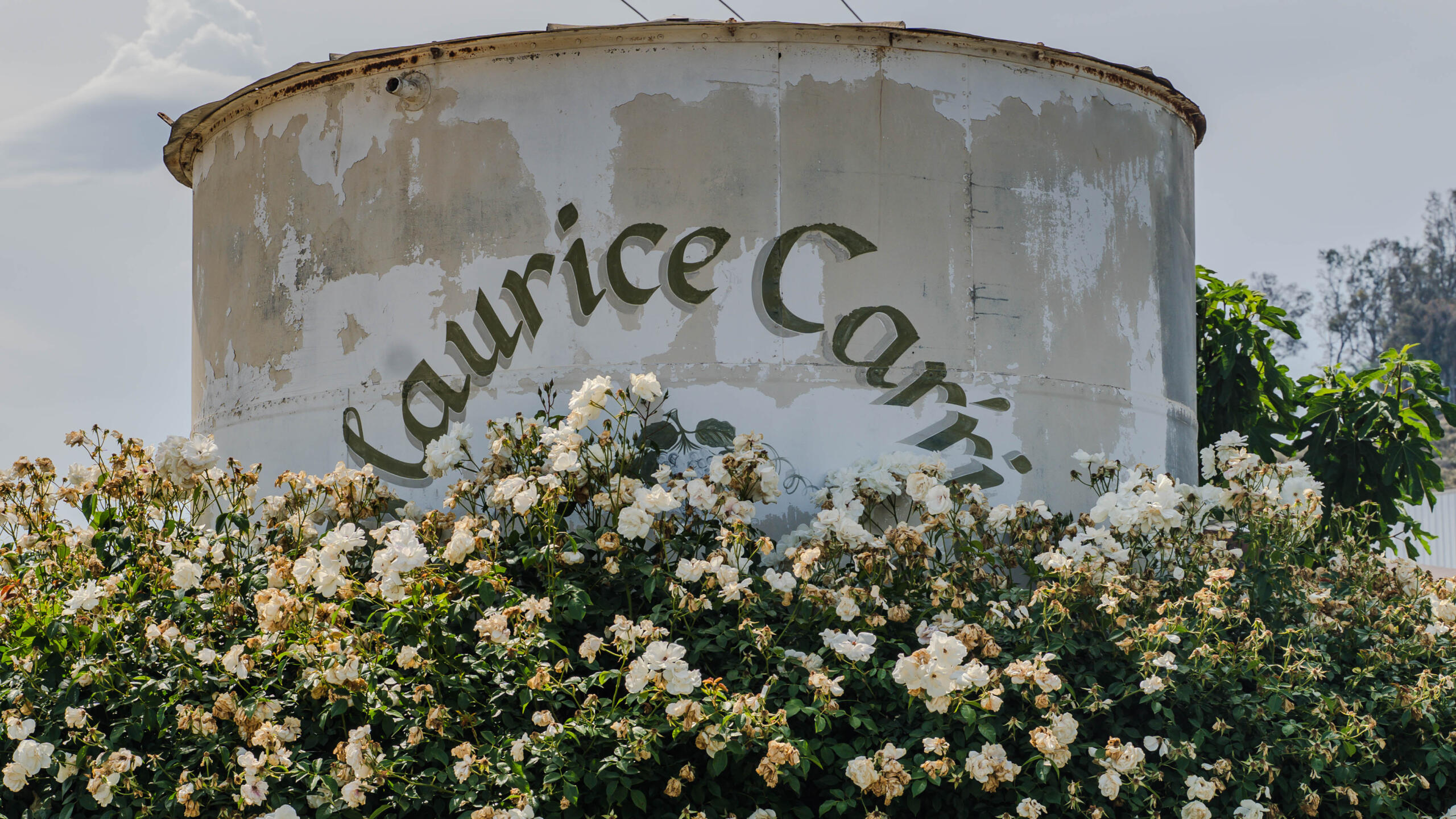 Spring Fest – Temecula