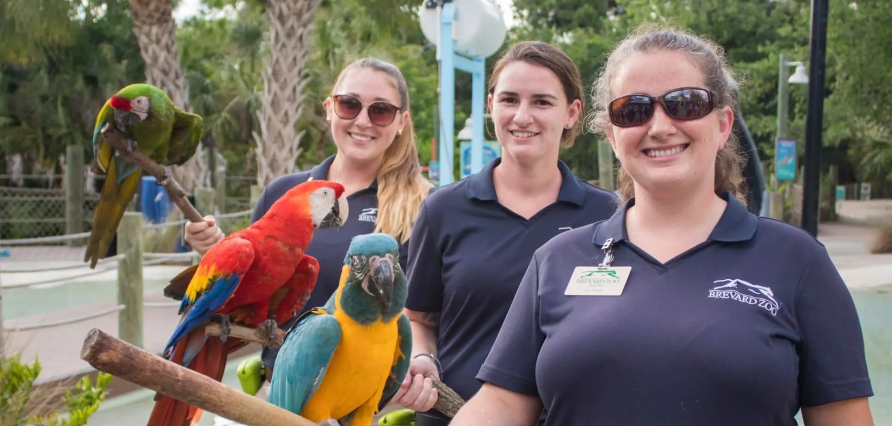 Brevard T1D Connections Day Presented by Health First