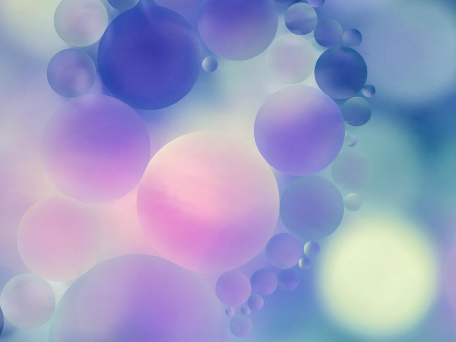 Full frame of bubbles of liquid in the form of multicolored circles.