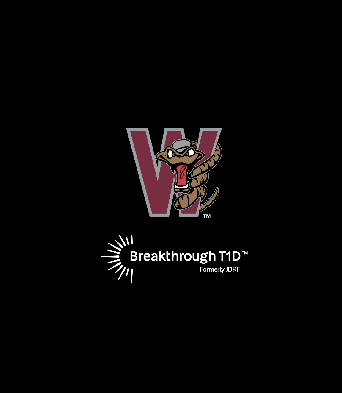 Breakthrough T1D at the Ballpark – Timber Rattlers