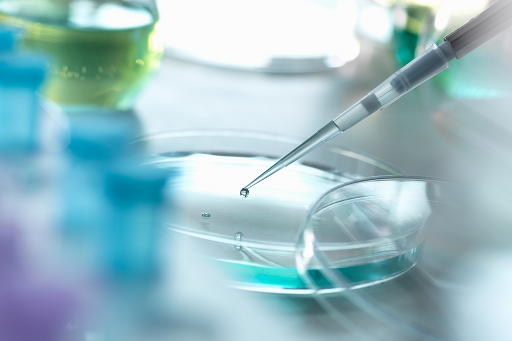 Breakthrough T1D Research Update – Santa Clara