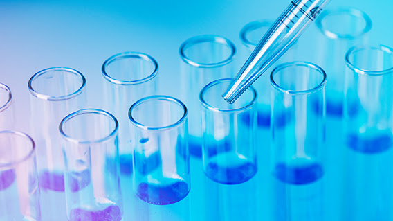 Research Update – San Mateo