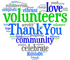 Our Volunteers are Amazing!
