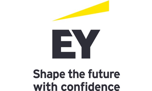 Ernst & Young, LLP