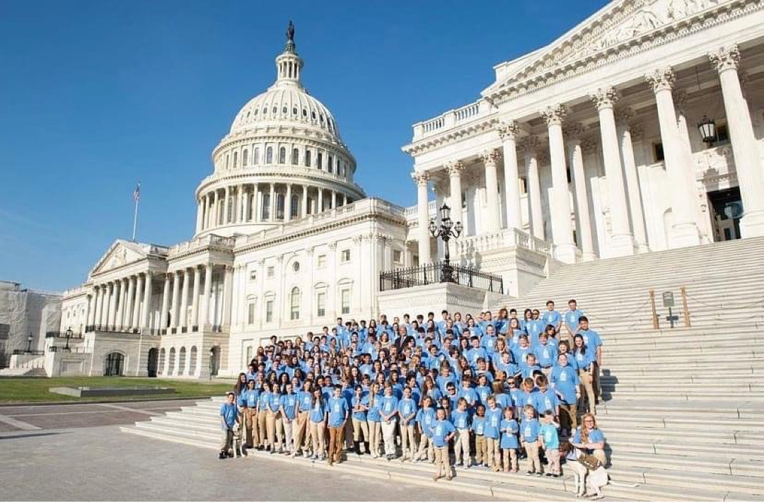 Greater New England Advocacy Opportunities