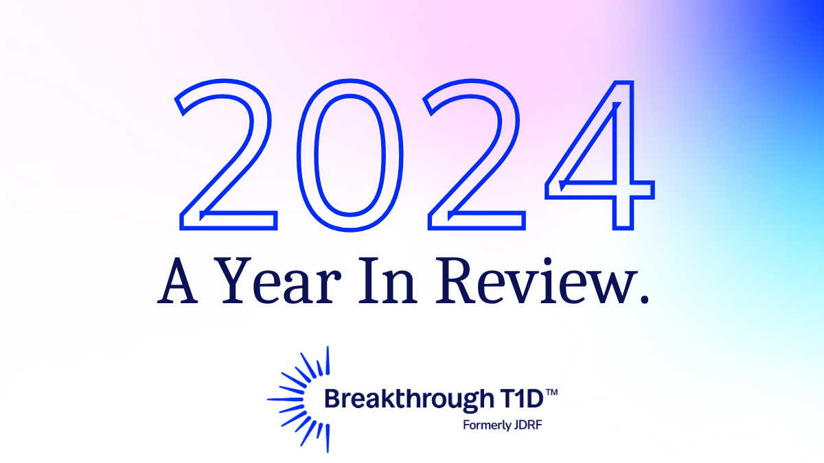 2024: A Year In Review
