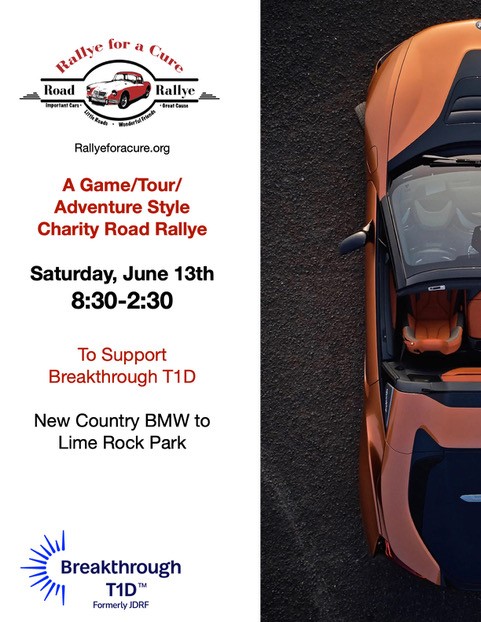 Volunteer Powered: 14th Annual Rallye for a Cure