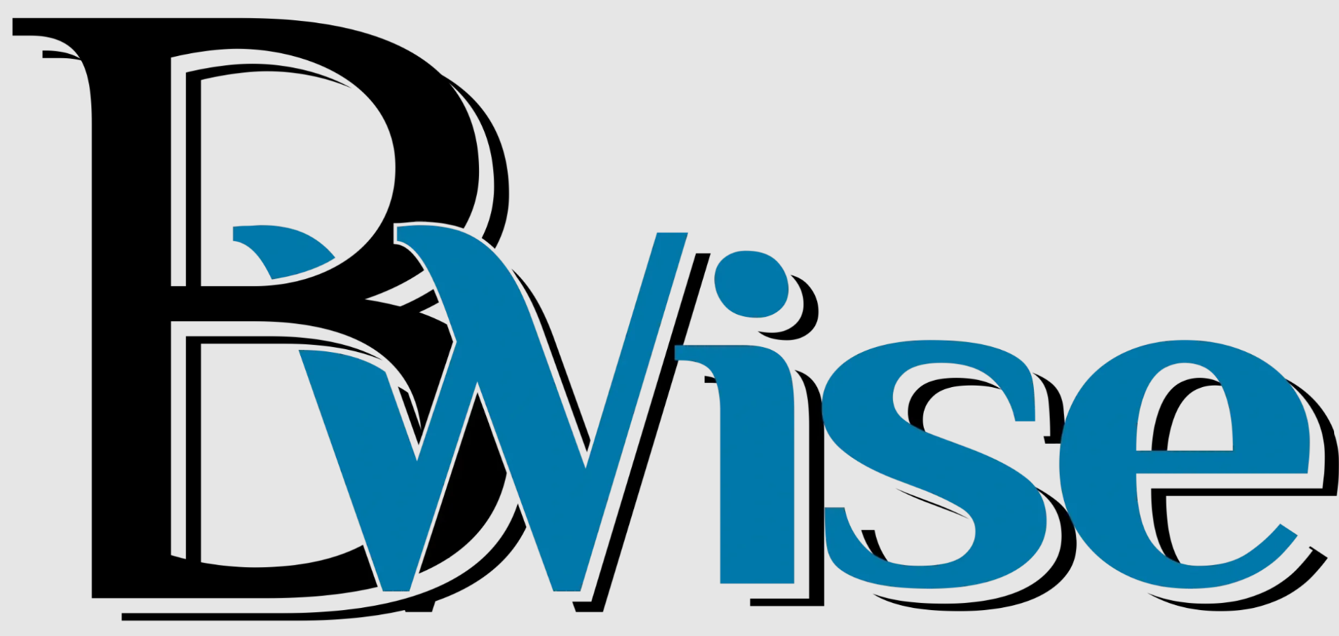 BWise LLC
