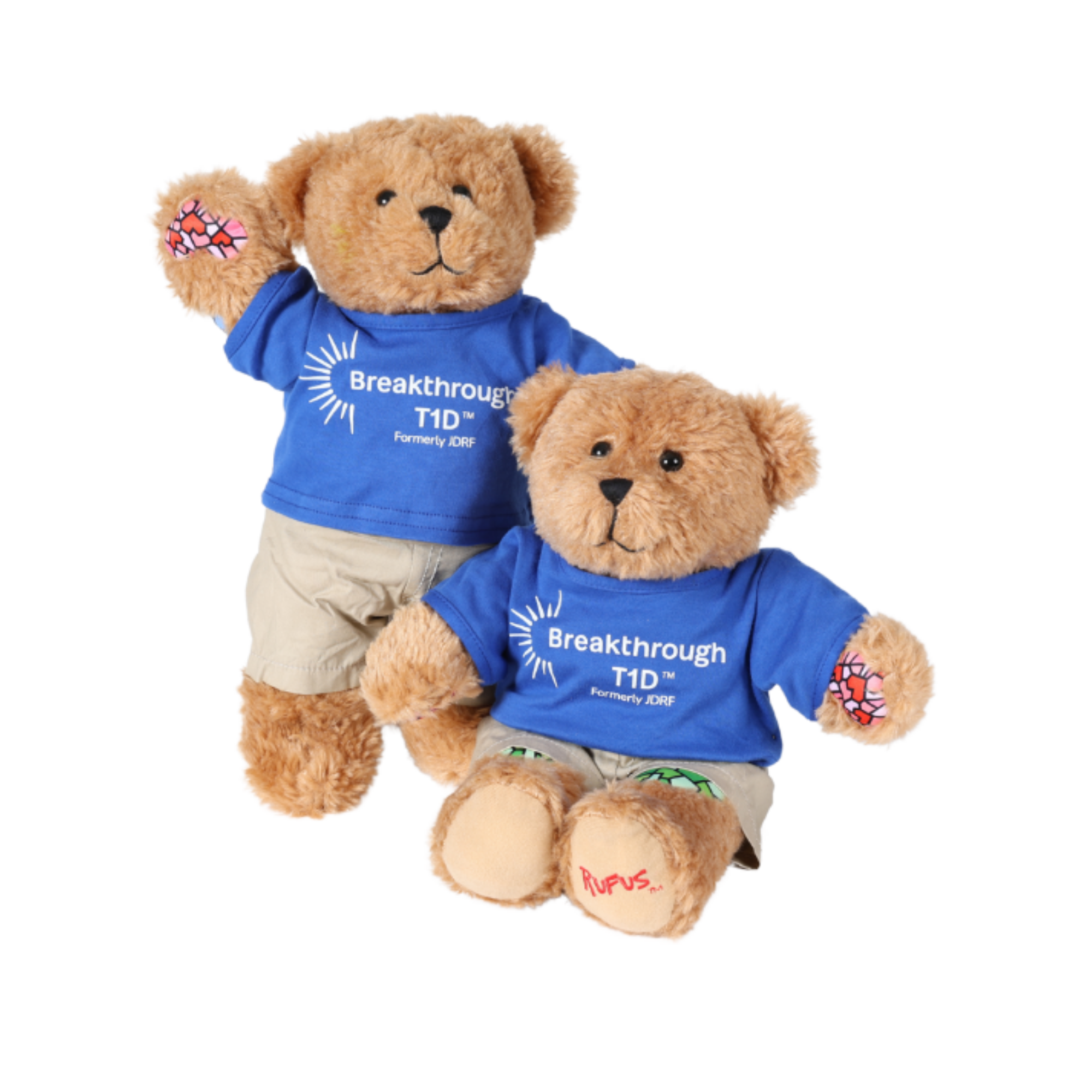 Breakthrough T1D Afternoon with Rufus – Phoenix