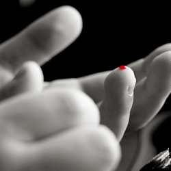 Is 2014 the year to Celebrate a Cure?