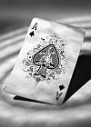 5th Annual Poker Run