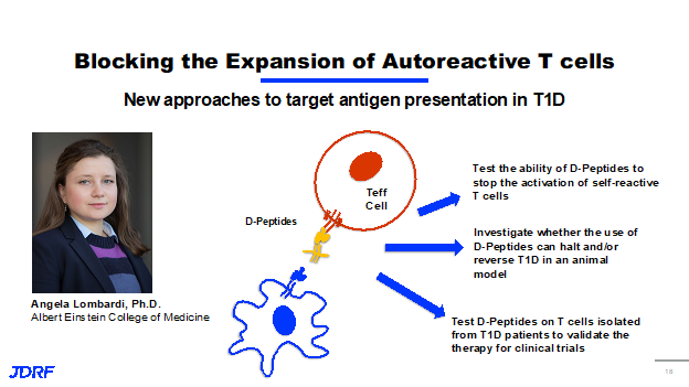 Blocking the Expansion of Autoreactive T Cells
