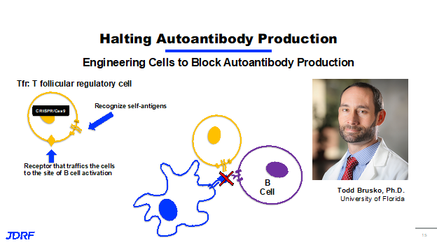 Halting Antibody Production with Todd Brusko