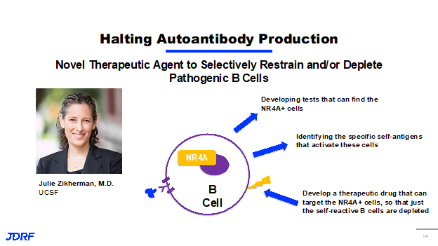 Halting Antibody Production