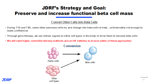 Preserve and Increase Functional Beta Cell Mass