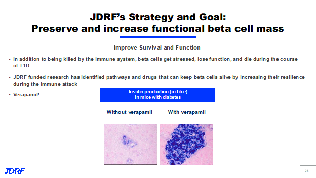 Preserve and Increase Functional Beta Cell Mass