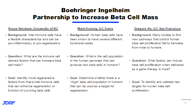 Boehringer Ingelheim Partnership to Increase Beta Cell Mass
