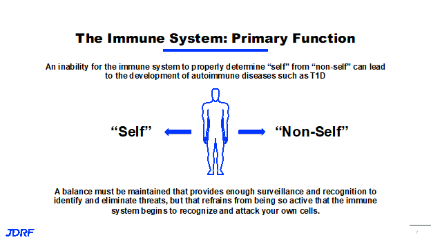 The Immune System
