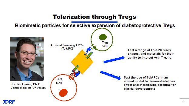 Tolerization Through Tregs