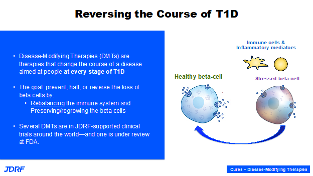 Reversing the Course of T1D