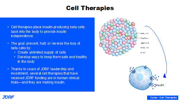 Cell Therapies for T1D