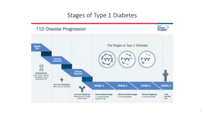 Stages of Type 1 Diabetes