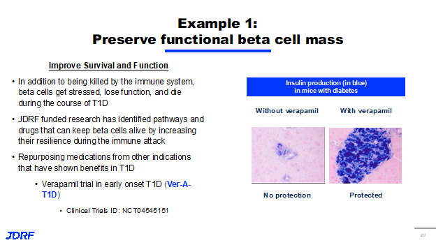 Preserving Functional Beta Cell Mass