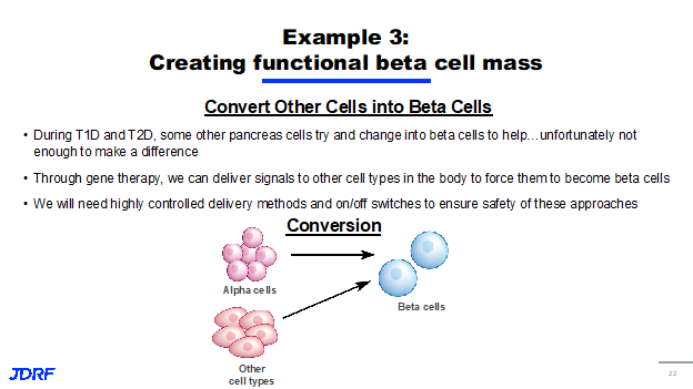 Creating Functional Beta Cell Mass