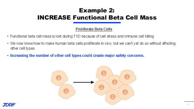 Increase Functional Beta Cell Mass
