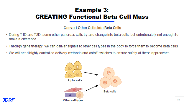Creating Functional Beta Cell Mass