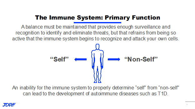 The Immune System