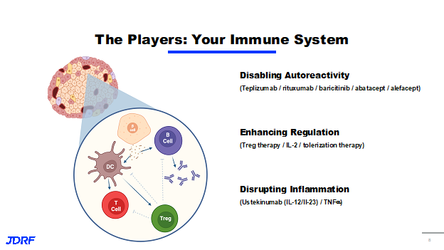 Immune Systen Functions