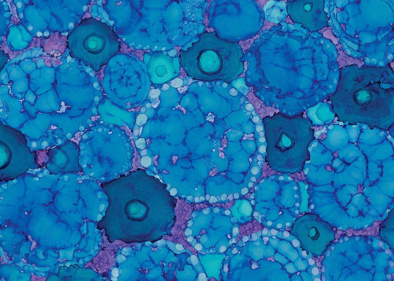 Nighttime Insulin Study for Adults with Type 1 Diabetes