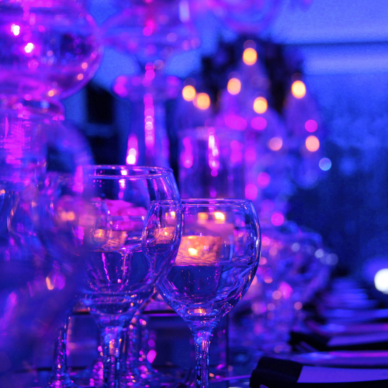 Breakthrough T1D Triangle Gala 2026 | Cultivating a Cure