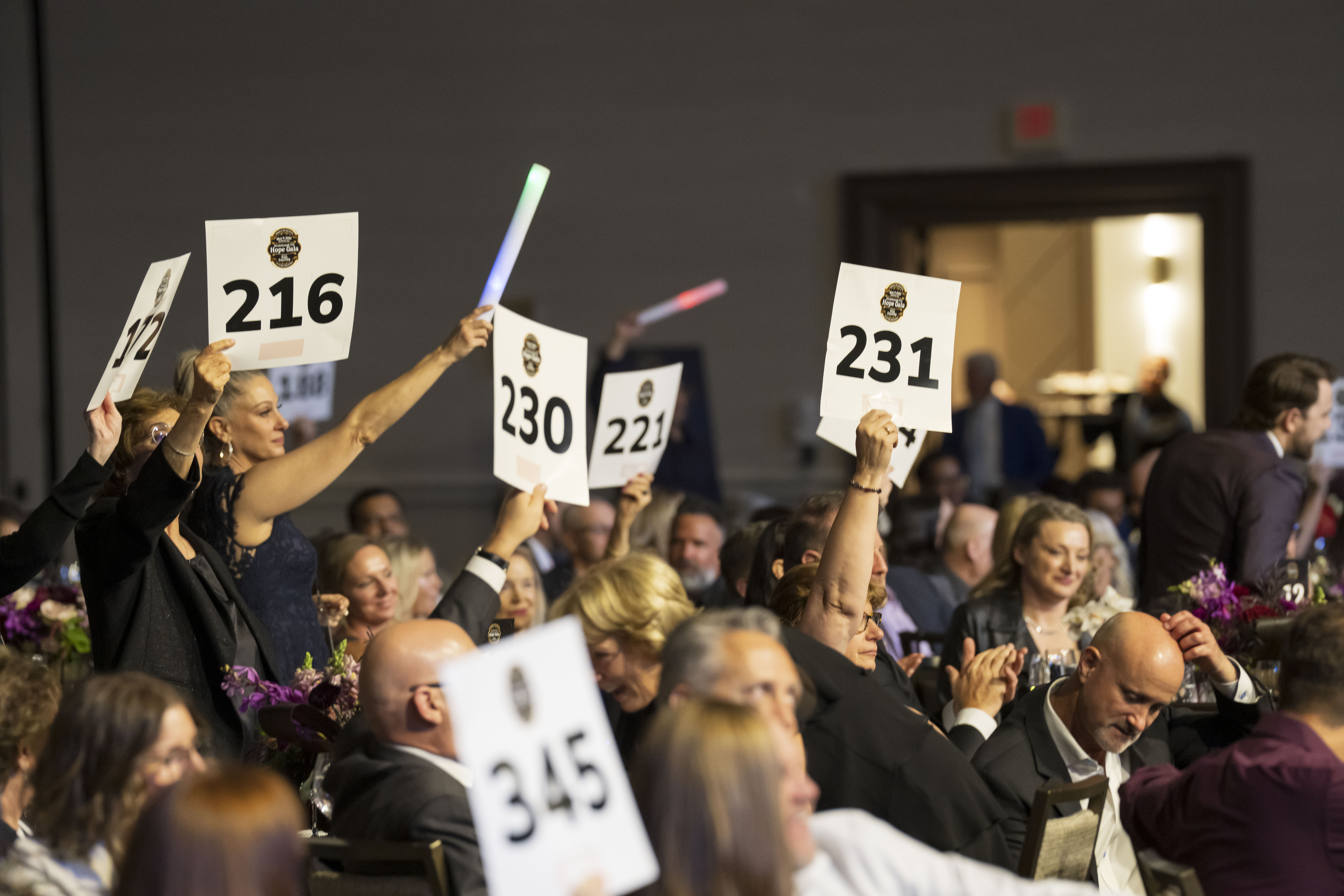 Hope Gala 2025 Fund A Cure