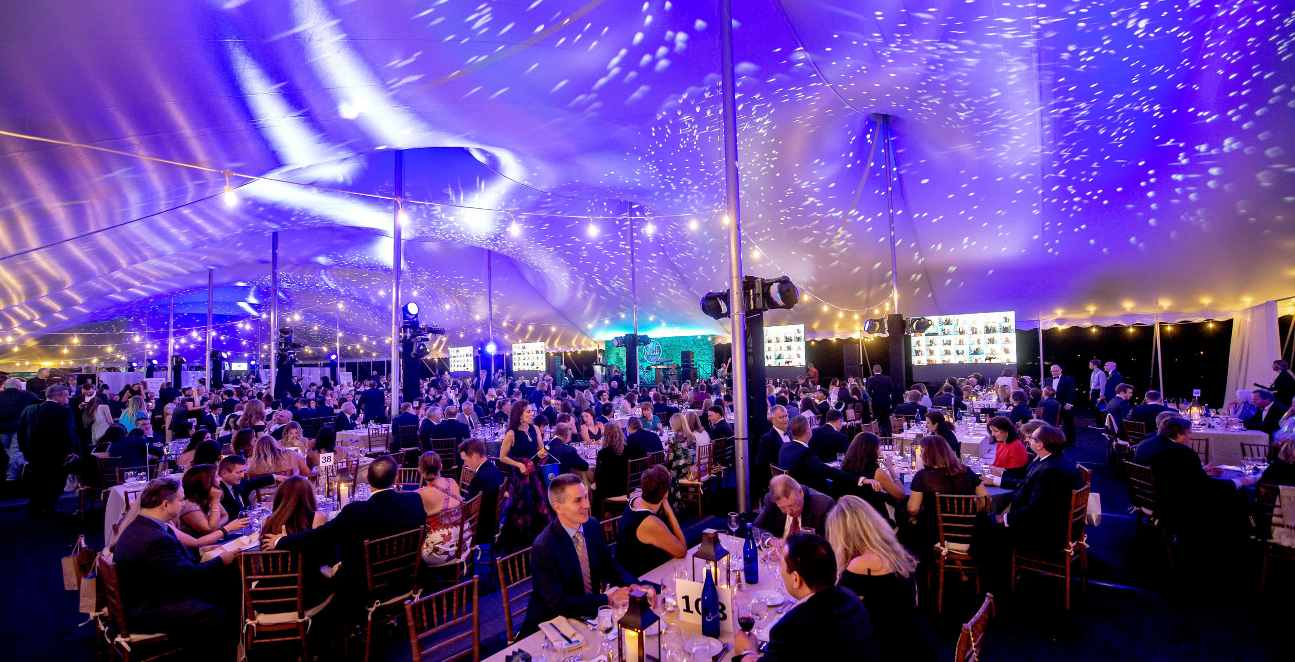 Share What Makes You Special With the One Dream Gala
