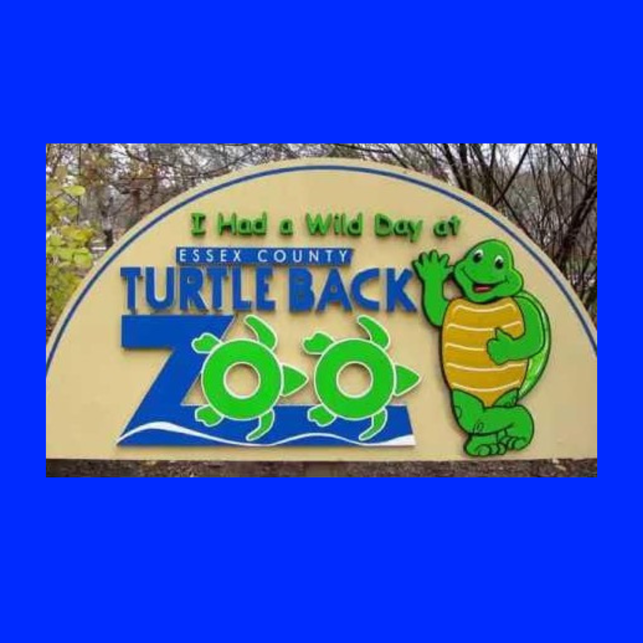 Family Meet Up at Turtle Back Zoo