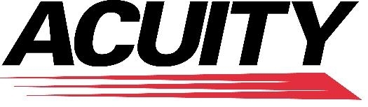 T1D Family Day & Mallards Game