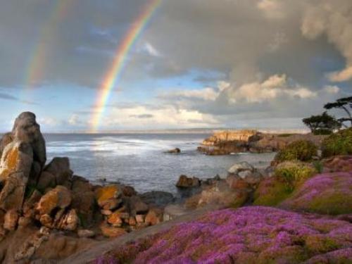 FAQs – 2014 Breakthrough T1D Walk at Lover’s Point, Pacific Grove