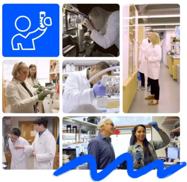 Clinical Trials Move T1D Research Forward