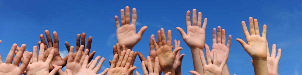 People raising their hand to volunteer