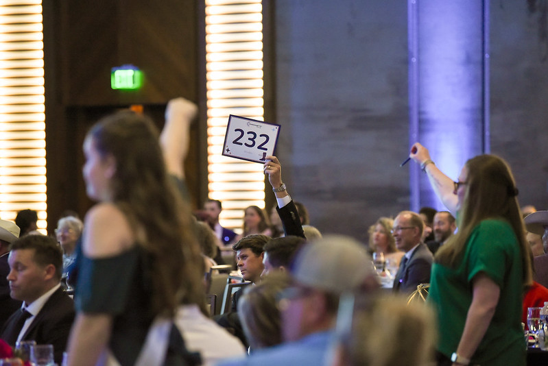 54483615859_a704aed93c_c