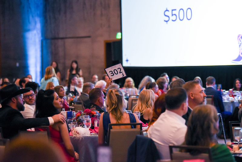 54483696368_94e41d5d29_c