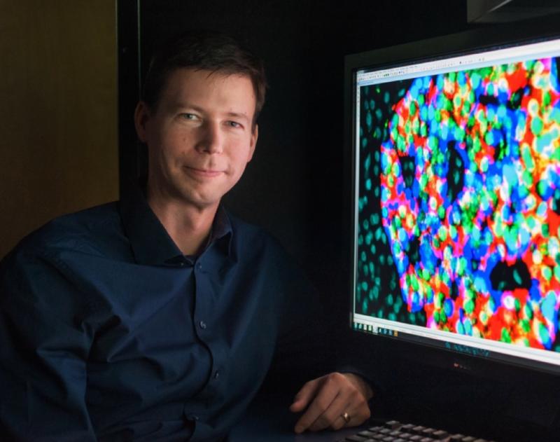 Timothy J. Kieffer, Ph.D