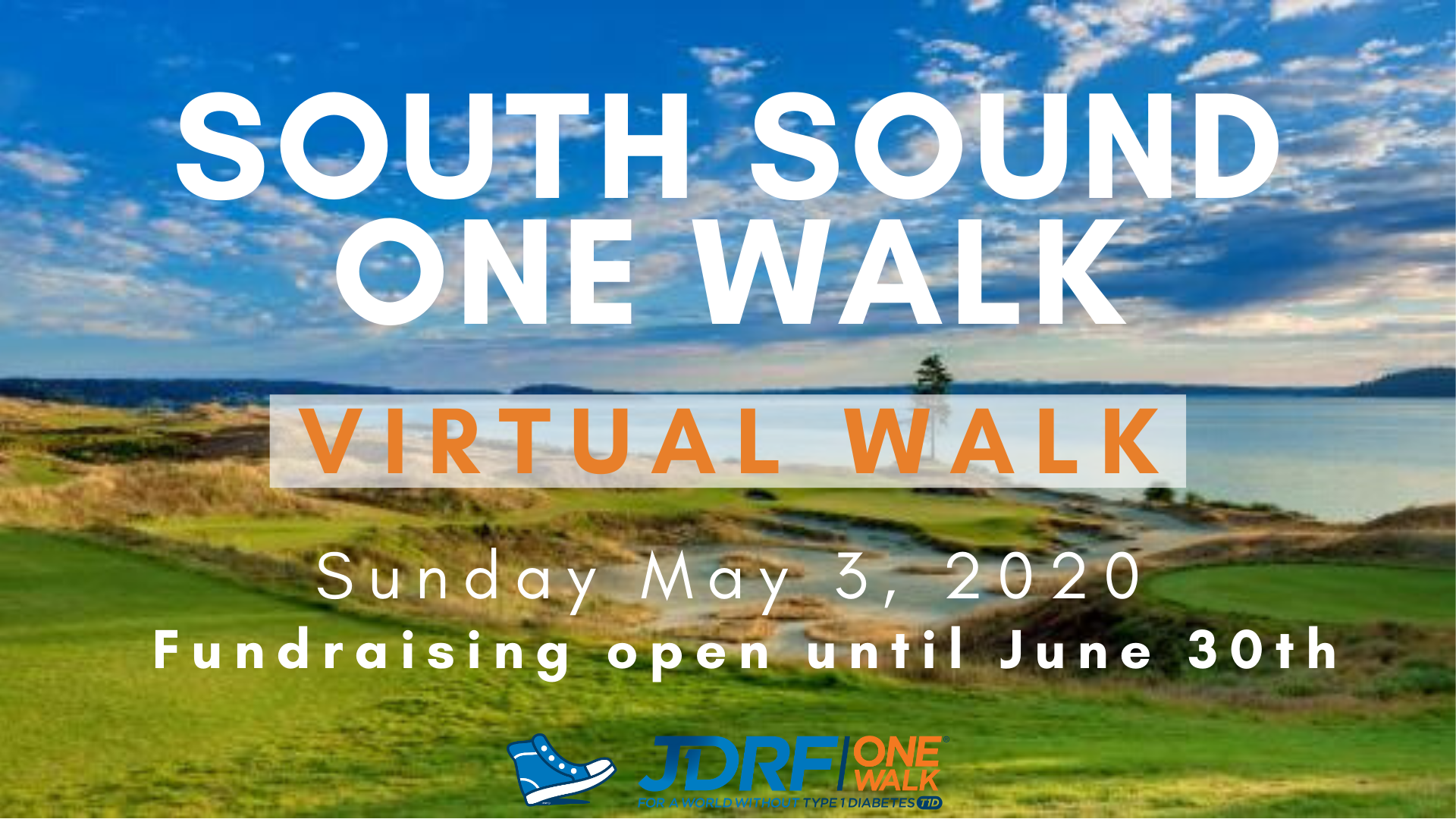 Virtual South Sound One Walk: Fun, Fundraising, and Community!