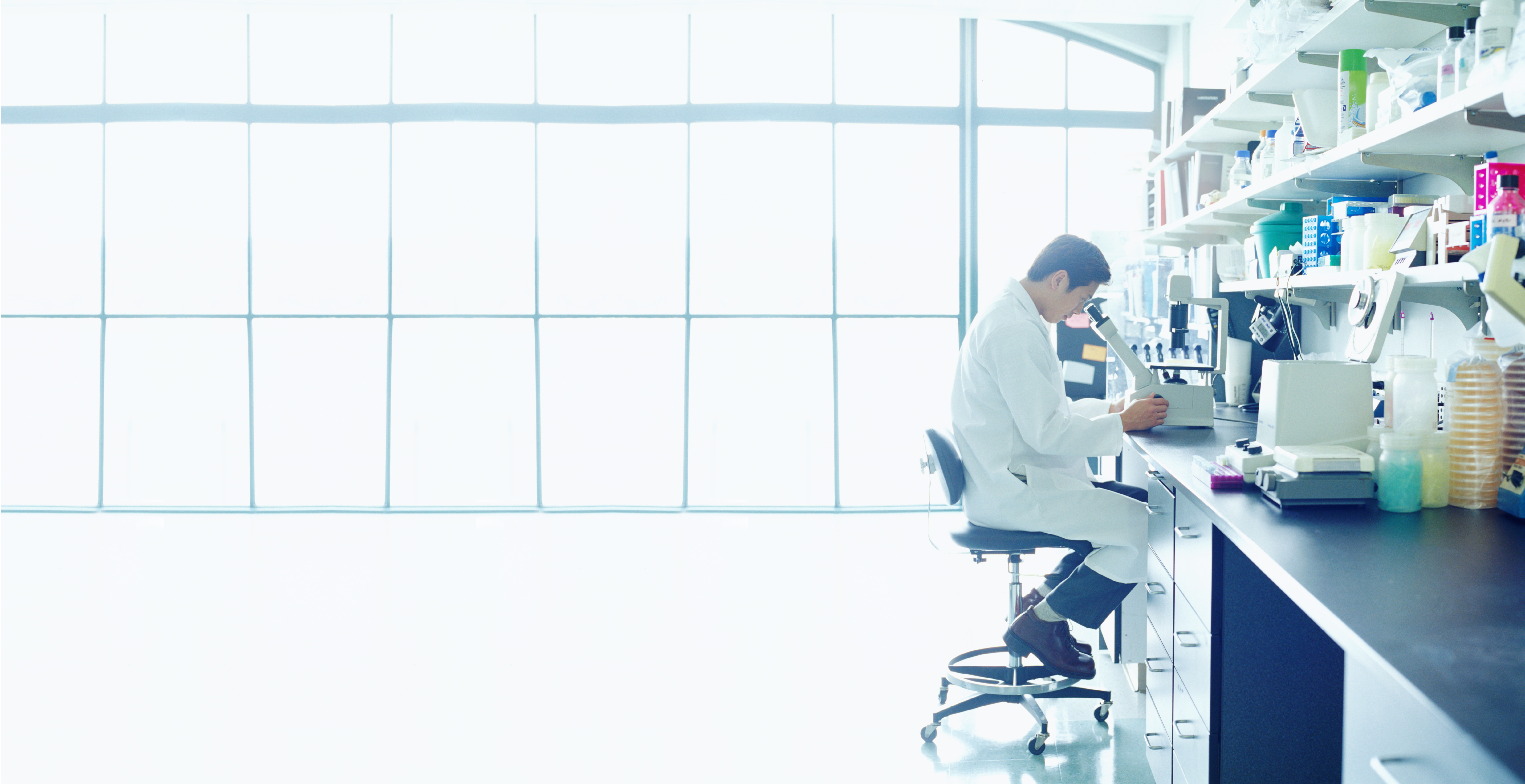 The Benaroya Research Institute Research Update: T Cell Edition