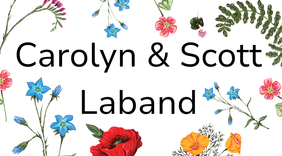 Carolyn & Scott Laband