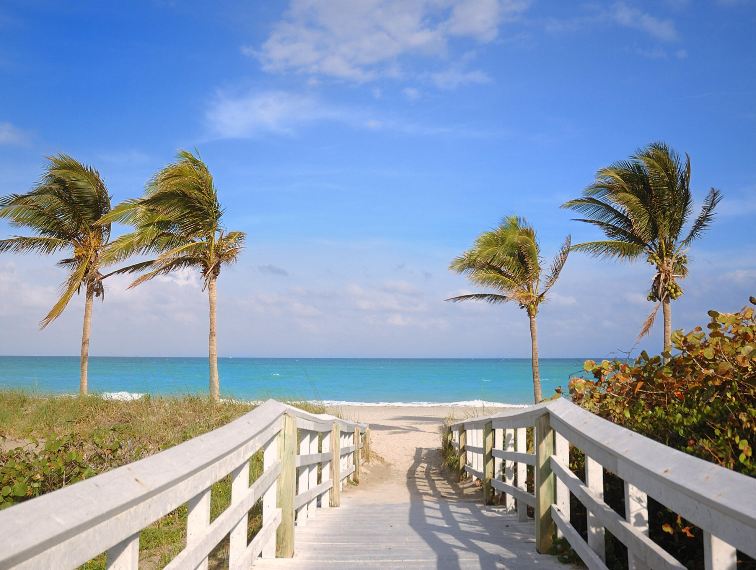 Southeast Florida Chapter