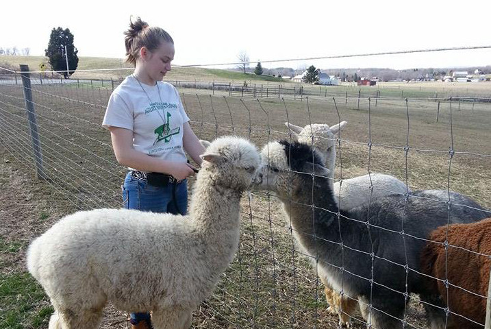 Local T1D Teen in Running for Alpaca Princess